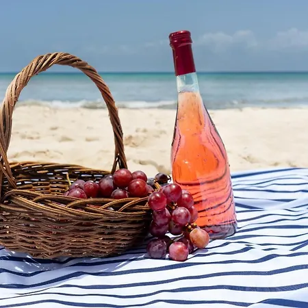 Rocha By Nuno Clube Da Rocha Iii アパート