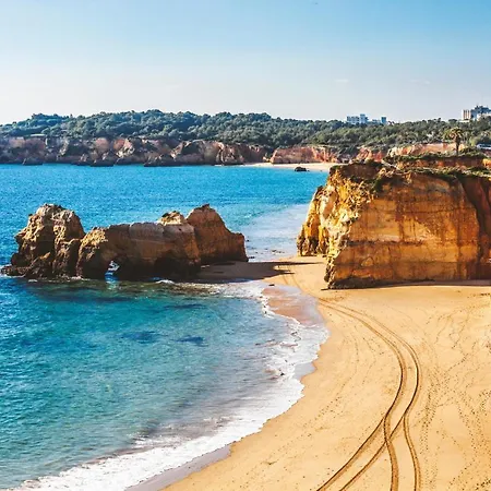 Rocha By Nuno Clube Da Rocha Iii Portimão