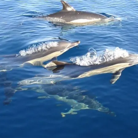 Rocha By Nuno Clube Da Rocha Iii Apartman Portimão