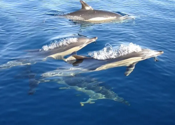 Rocha By Nuno Clube Da Rocha Iii Apartmán Portimão